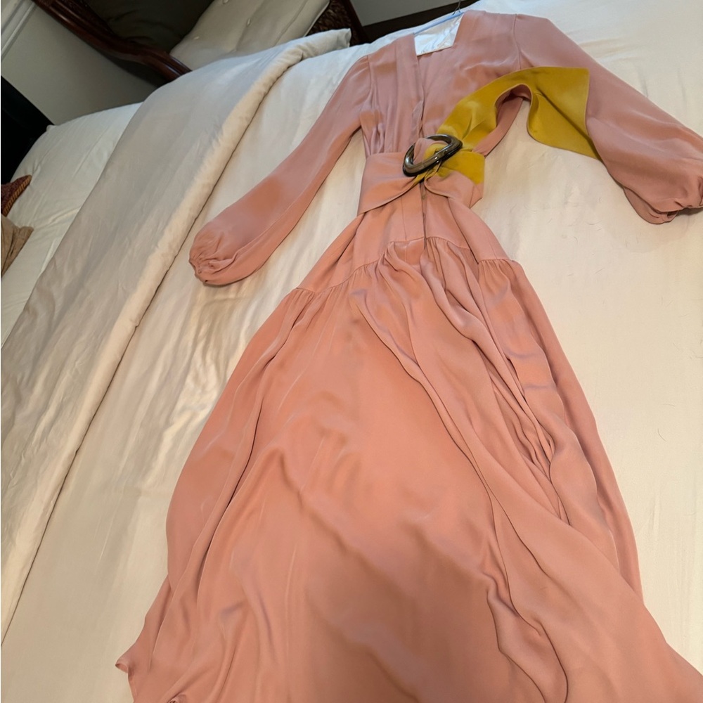 Silvia Tcherassi Pink Ruched Long Sleeve Sundress